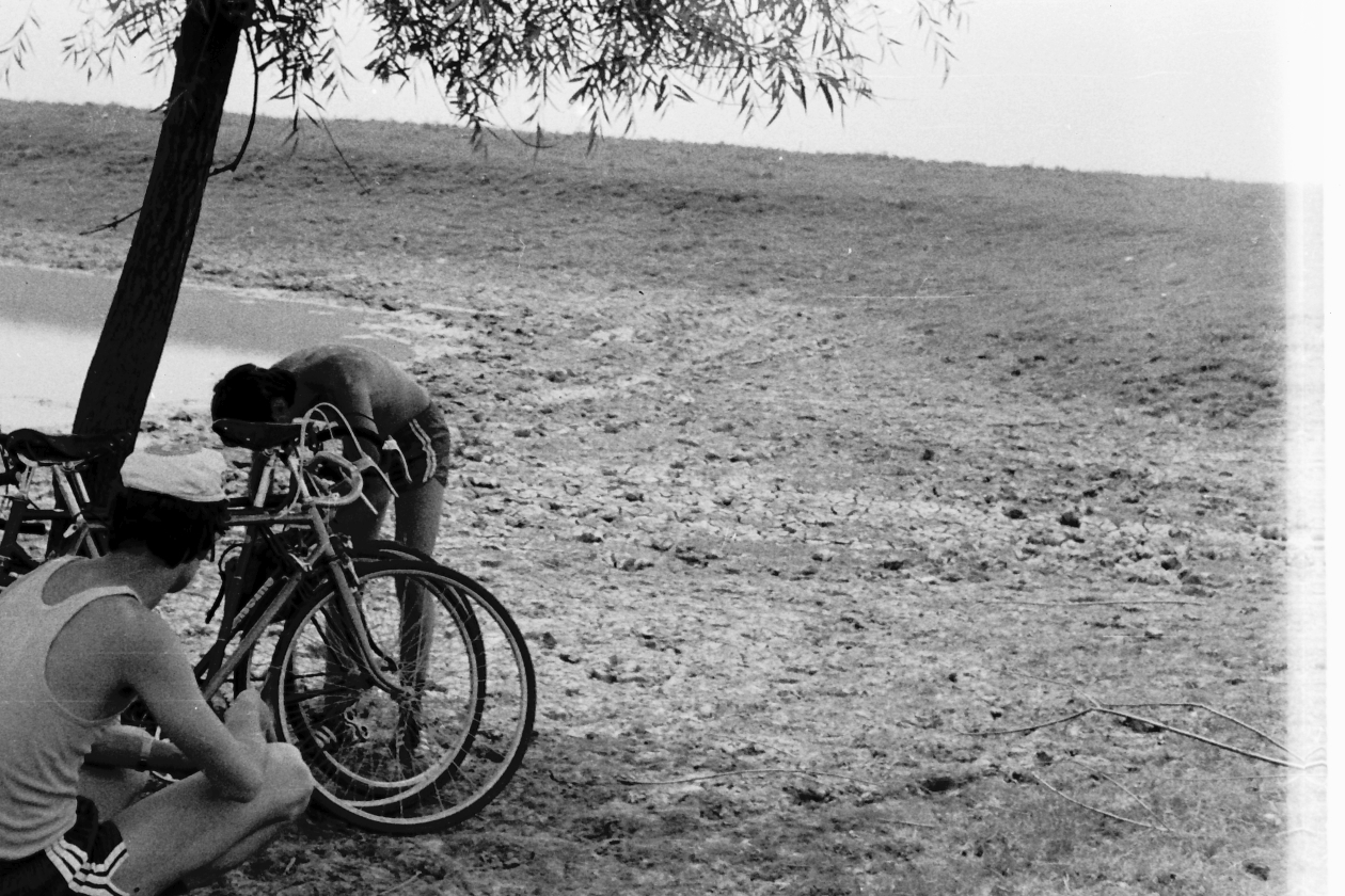 Timis_Horstman_Gerdman_biciclete